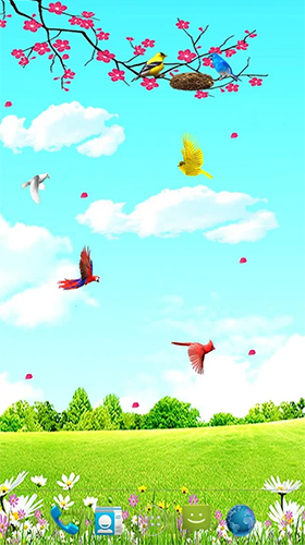 Pássaros do céu  - baixar grátis papel de parede animado Animais para Android.