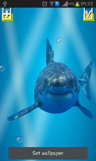Tubarão irritado: Tela rachada - baixar grátis papel de parede animado Animais para Android.