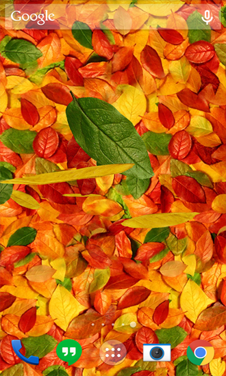 Baixar grátis o papel de parede animado Folhas de Outono para celulares e tablets Android.