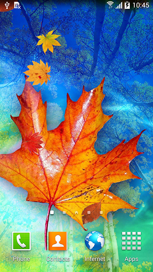 Baixar grátis o papel de parede animado Folhas de outono para celulares e tablets Android.