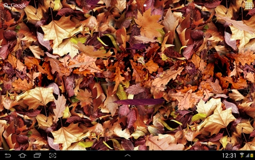 Folhas de outono 3D - baixar grátis papel de parede animado para Android 8.0.