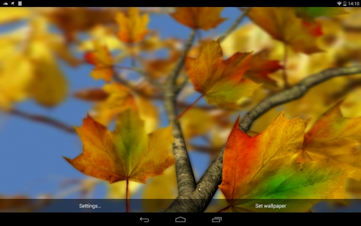 Folhas de outono 3D - baixar grátis papel de parede animado para Android 4.4.