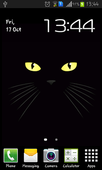 Baixar grátis o papel de parede animado Gato Negro para celulares e tablets Android.