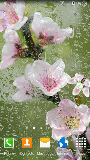 Árvores floridas - baixar grátis papel de parede animado Flores para Android.