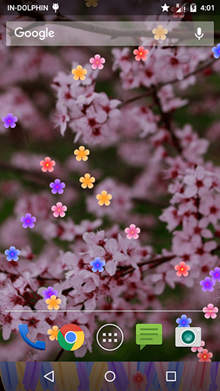 Flores - baixar grátis papel de parede animado Flores para Android.