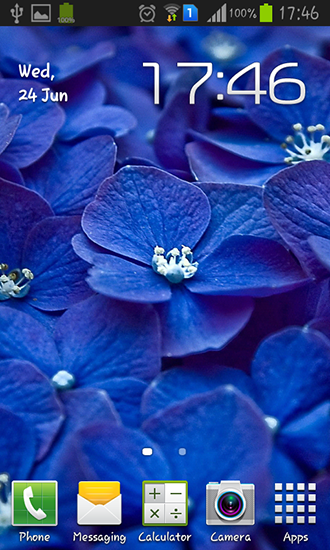 Flores azuis - baixar grátis papel de parede animado Flores para Android.