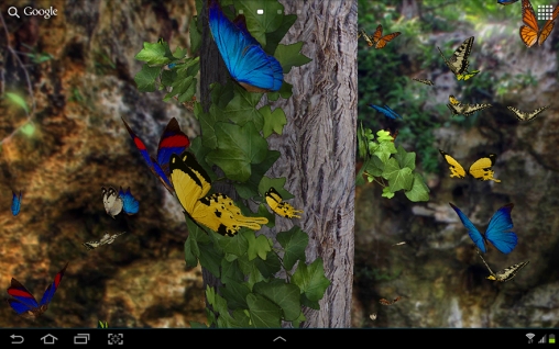 Baixar grátis o papel de parede animado Borboleta 3D para celulares e tablets Android.