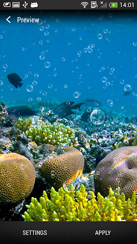 Baixar Recife de corais  - papel de parede animado gratuito para Android para desktop. 