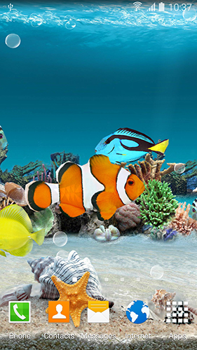 Peixes corais - baixar grátis papel de parede animado Aquários para Android.