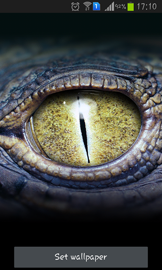 Os olhos do crocodilo - baixar grátis papel de parede animado Interativo para Android.