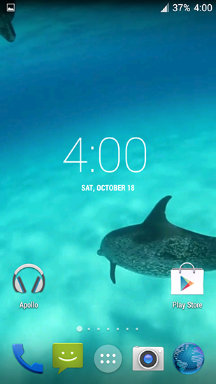 Golfinhos HD - baixar grátis papel de parede animado para Android 4.4.2.