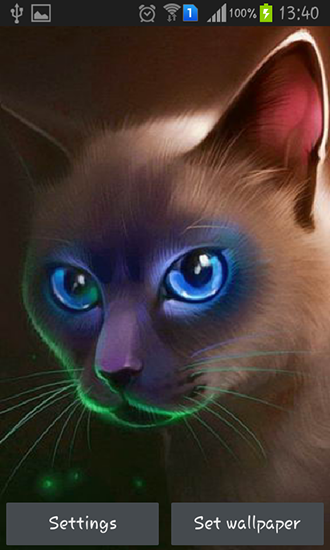 Gato egípcio - baixar grátis papel de parede animado Animais para Android.