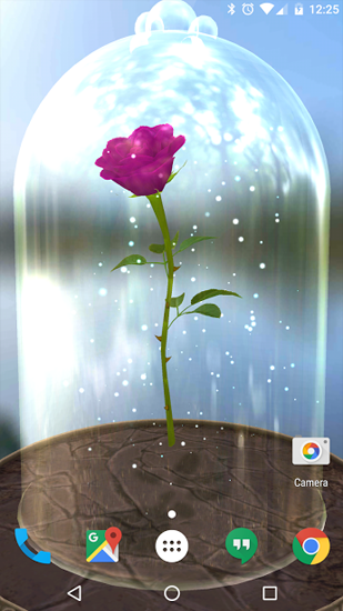 Baixar Rosa encantada  - papel de parede animado gratuito para Android para desktop. 