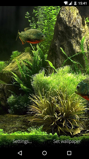 Aquário de peixes 3D - baixar grátis papel de parede animado Aquários para Android.