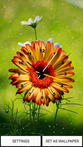 Relógio de flores - baixar grátis papel de parede animado Com horas para Android.