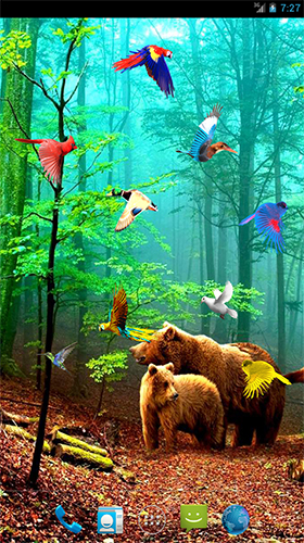 Baixar Aves da floresta  - papel de parede animado gratuito para Android para desktop. 