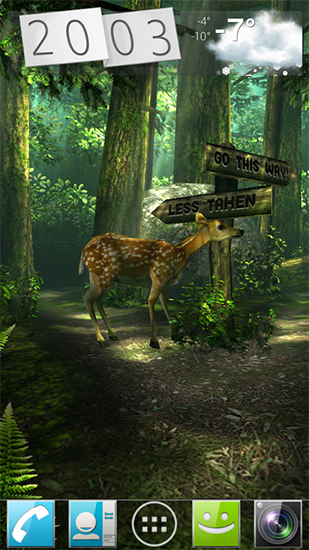 Floresta HD - baixar grátis papel de parede animado Animais para Android.
