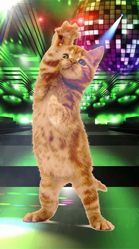 Baixar Animais de estimação engraçados: Dançando e cantando  - papel de parede animado gratuito para Android para desktop. 