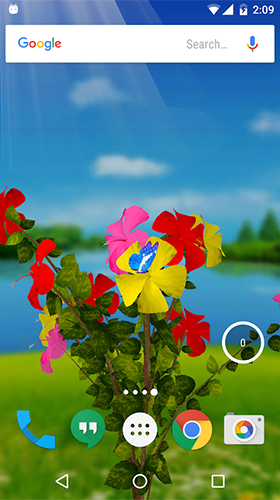 Baixar Hibisco 3D  - papel de parede animado gratuito para Android para desktop. 