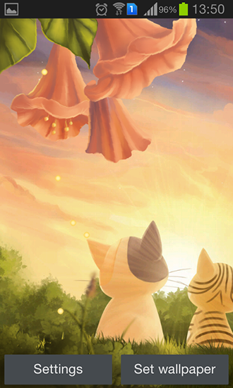 Gatinho: Pôr do sol - baixar grátis papel de parede animado Animais para Android.