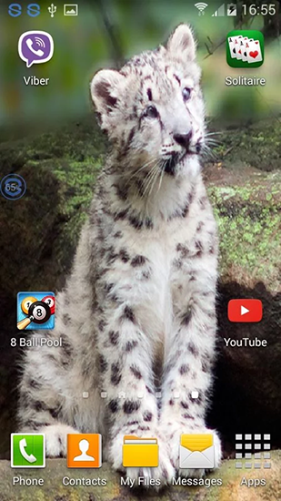 Baixar grátis o papel de parede animado Leopardos: Agite e troque para celulares e tablets Android.