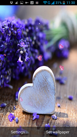 Amor e flores - baixar grátis papel de parede animado Plano de fundo para Android.