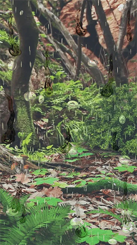 Baixar Floresta mágica  - papel de parede animado gratuito para Android para desktop. 