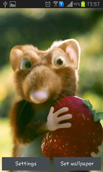 Rato com morangos - baixar grátis papel de parede animado Animais para Android.