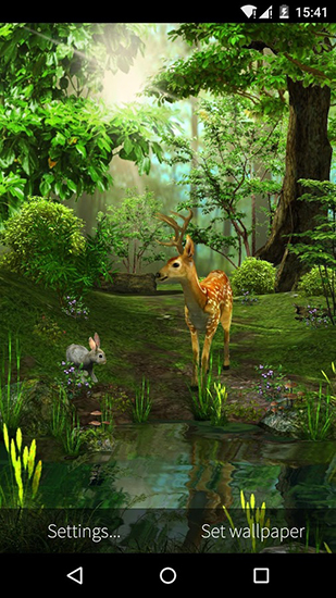 Natureza 3D - baixar grátis papel de parede animado Animais para Android.