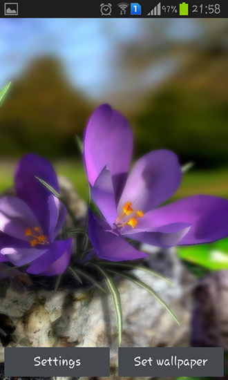 Natureza ao vivo: Flores de Primavera 3D - baixar grátis papel de parede animado para Android 4.1.1.