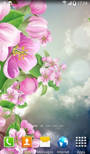 Sakura de noite - baixar grátis papel de parede animado Flores para Android.