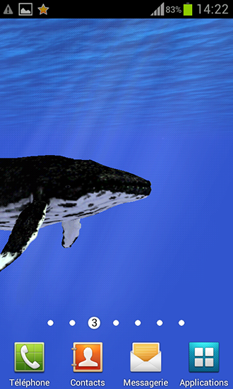 Oceano: Baleia - baixar grátis papel de parede animado Animais para Android.