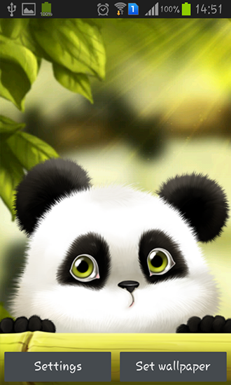 Panda - baixar grátis papel de parede animado Interativo para Android.