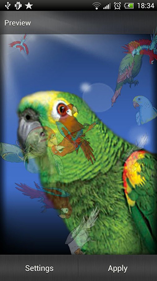 Baixar grátis o papel de parede animado Papagaio para celulares e tablets Android.