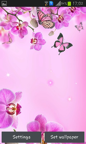 Baixar grátis o papel de parede animado Flores cor de rosa para celulares e tablets Android.