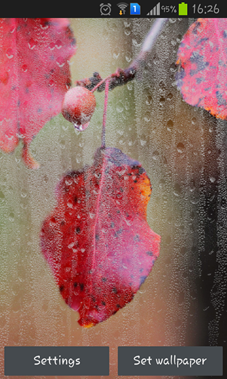 Outono chuvoso - baixar grátis papel de parede animado para Android 4.4.2.
