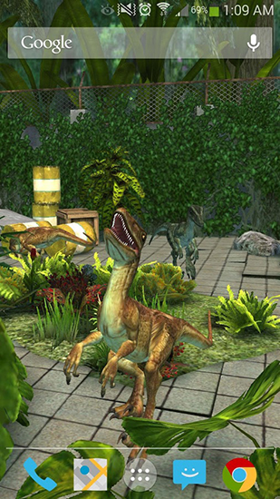 Raptor - baixar grátis papel de parede animado Animais para Android.