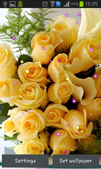 Rosas e amor - baixar grátis papel de parede animado Flores para Android.