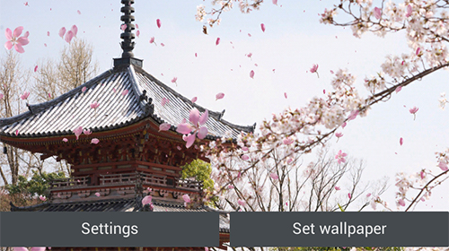 Baixar Jardim de sakura  - papel de parede animado gratuito para Android para desktop. 