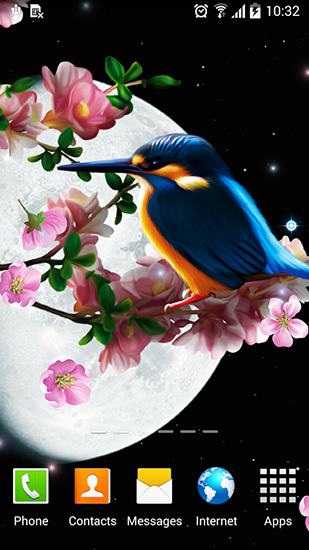 Sakura e o pássaro - baixar grátis papel de parede animado Flores para Android.