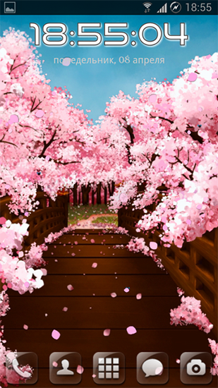 Ponte de Sakura - baixar grátis papel de parede animado para Android.