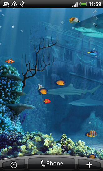 Recife do tubarão - baixar grátis papel de parede animado Animais para Android.