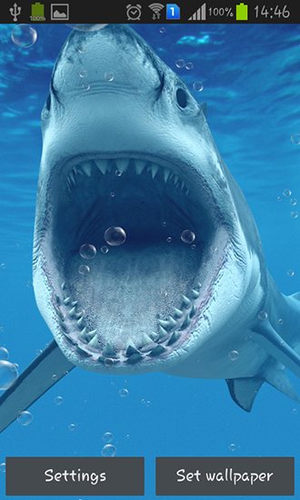 Tubarões - baixar grátis papel de parede animado para Android 2.1.