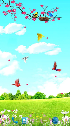 Baixar Pássaros do céu  - papel de parede animado gratuito para Android para desktop. 