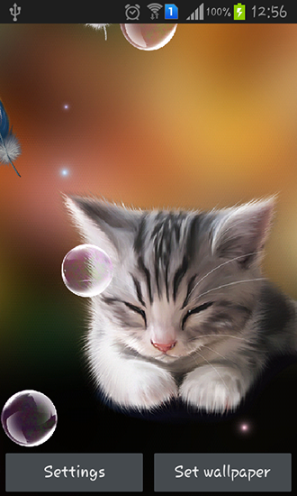 Gatinho sonolento - baixar grátis papel de parede animado para Android 4.1.2.
