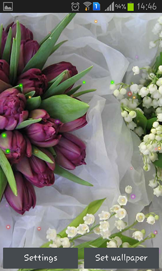Lírios e tulipas da Primavera - baixar grátis papel de parede animado Flores para Android.