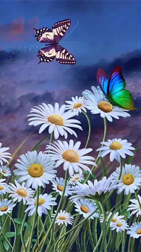 Baixar Verão: Flores e borboletas  - papel de parede animado gratuito para Android para desktop. 