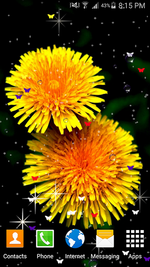 Flores do verão - baixar grátis papel de parede animado Flores para Android.