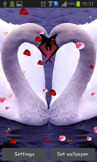Cisnes: Amor - baixar grátis papel de parede animado Interativo para Android.