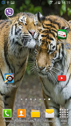 Baixar grátis o papel de parede animado Tigres: Agite e altere para celulares e tablets Android.